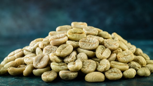 Kavos pupelių atranka
